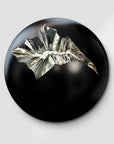 Marc Barold | The Evolution Dome | Black