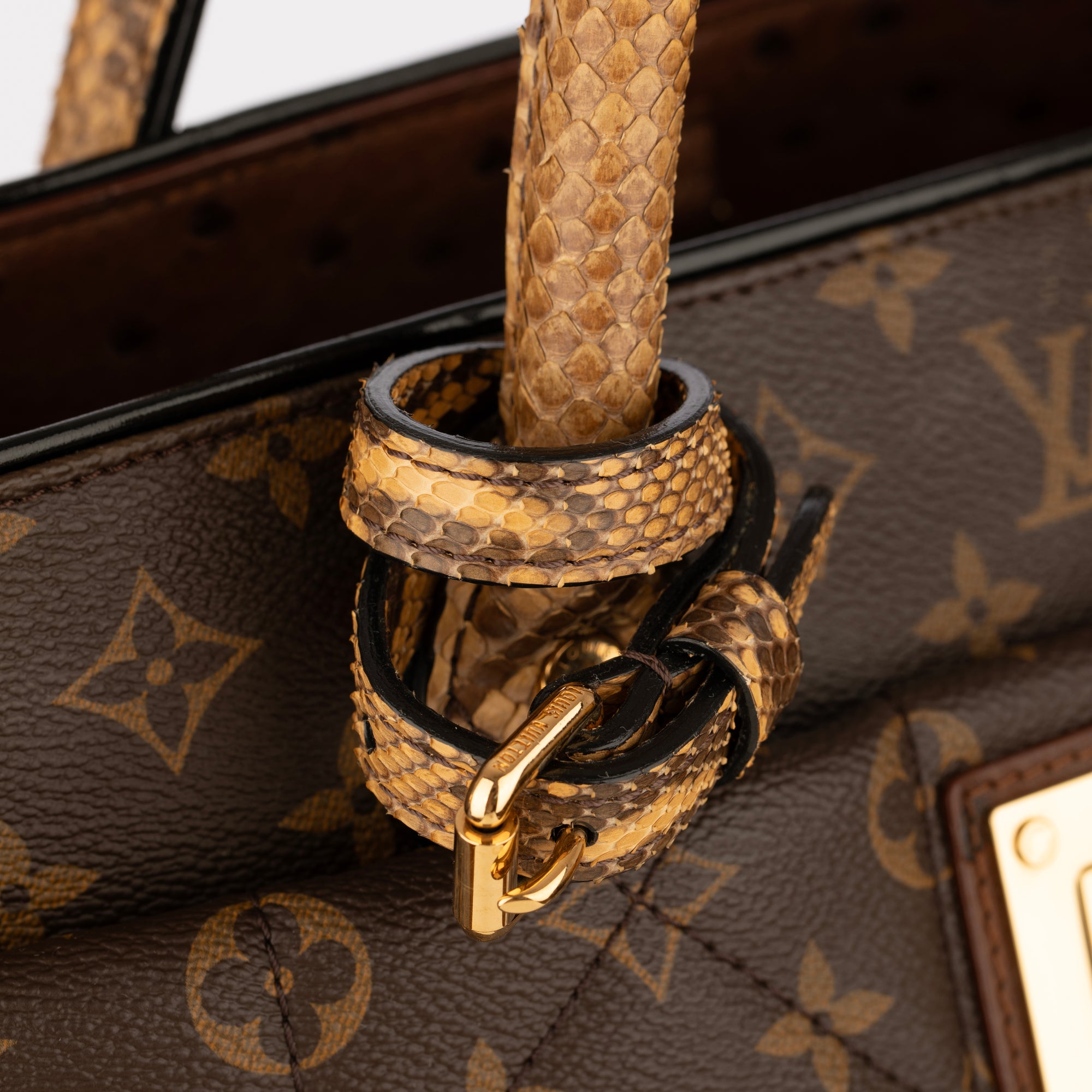 Louis Vuitton | Monogram Canvas Limited Edition Etoile Exotique GM Handbag | Gold-Tone Hardware