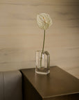 Greg Natale | 1979 Vase Clear