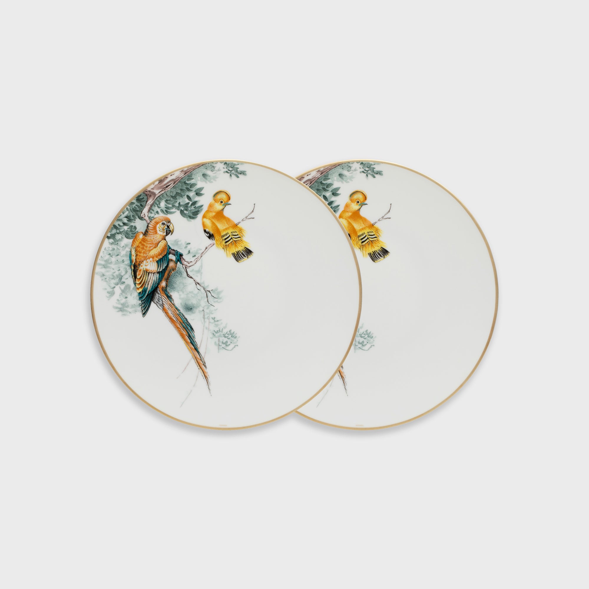 Hermès | Carnets d'Èquateur | Birds Dinner Plate