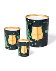 Trudon | Holiday Collection 2025 | Fir Collection