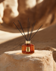 Trudon | The Great Diffuser Altair 1000ml