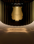 Close-up of the Trudon diffuser's fluted green glass and gold emblem
