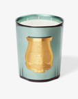 Trudon Holiday 2026 fir great