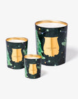 Trudon | Holiday Collection 2024 | Fir Collection