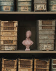 Trudon Marie Antoinette pink bust on archive shelves — Photo retouchée