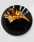 Marc Barold | The Evolution Dome | Black