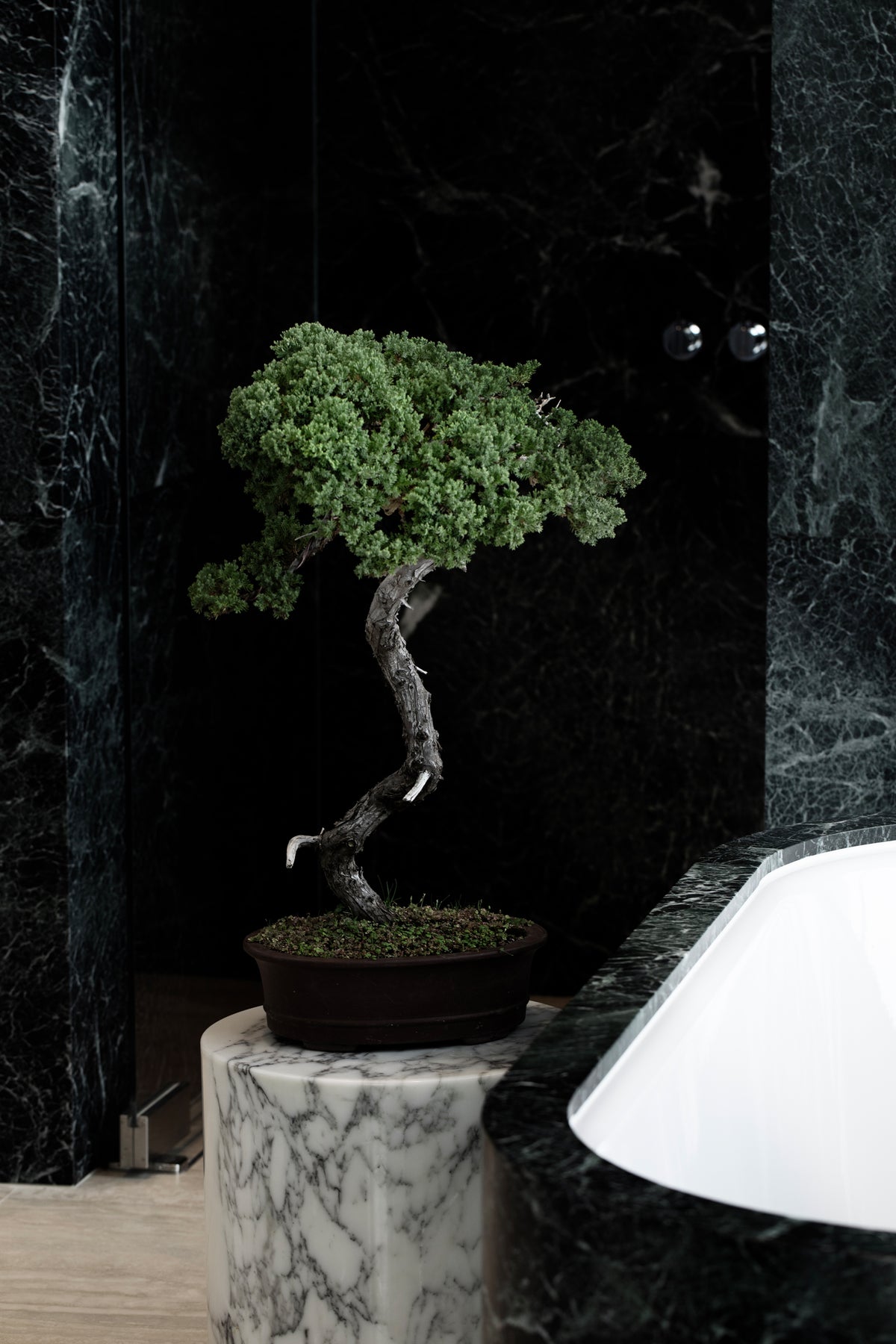 Bonsai tree in a dark pot on a marble pedestal beside a white bath.