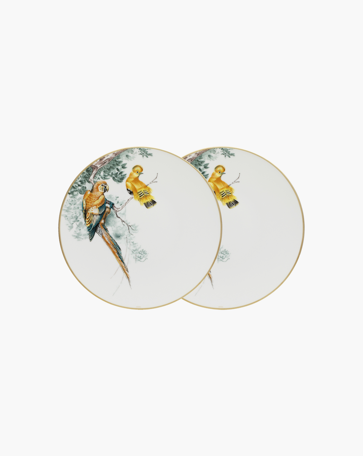 Pair of Hermès Carnets d'Équateur birds dinner plates on soft grey background