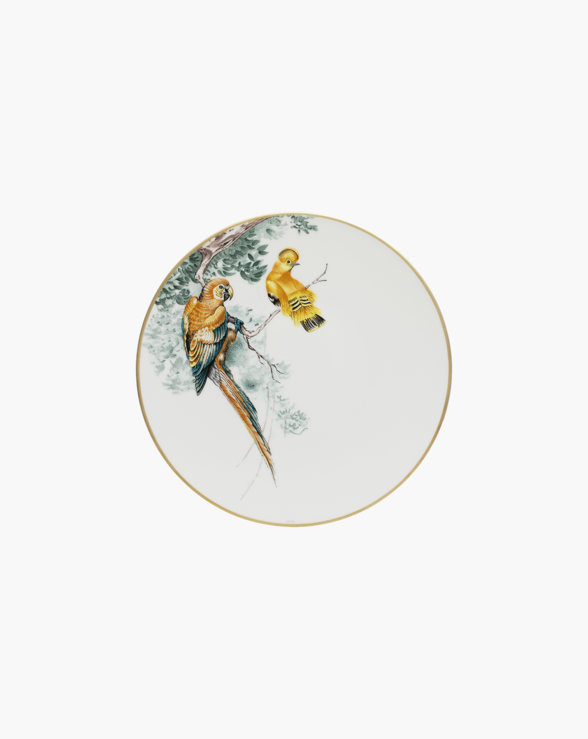 Hermès Carnets d'Équateur birds dinner plate, single plate on soft grey background