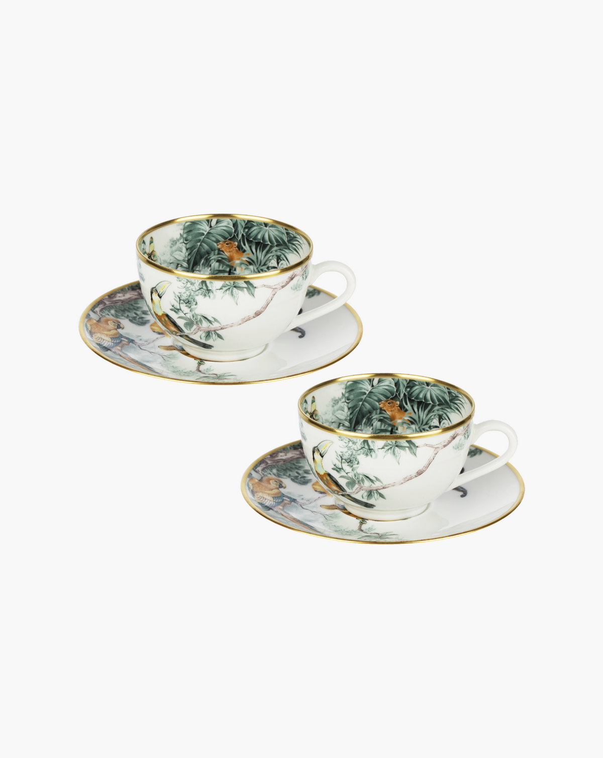 Pair of Hermès Carnets d'Équateur teacups and saucers with tropical bird motifs