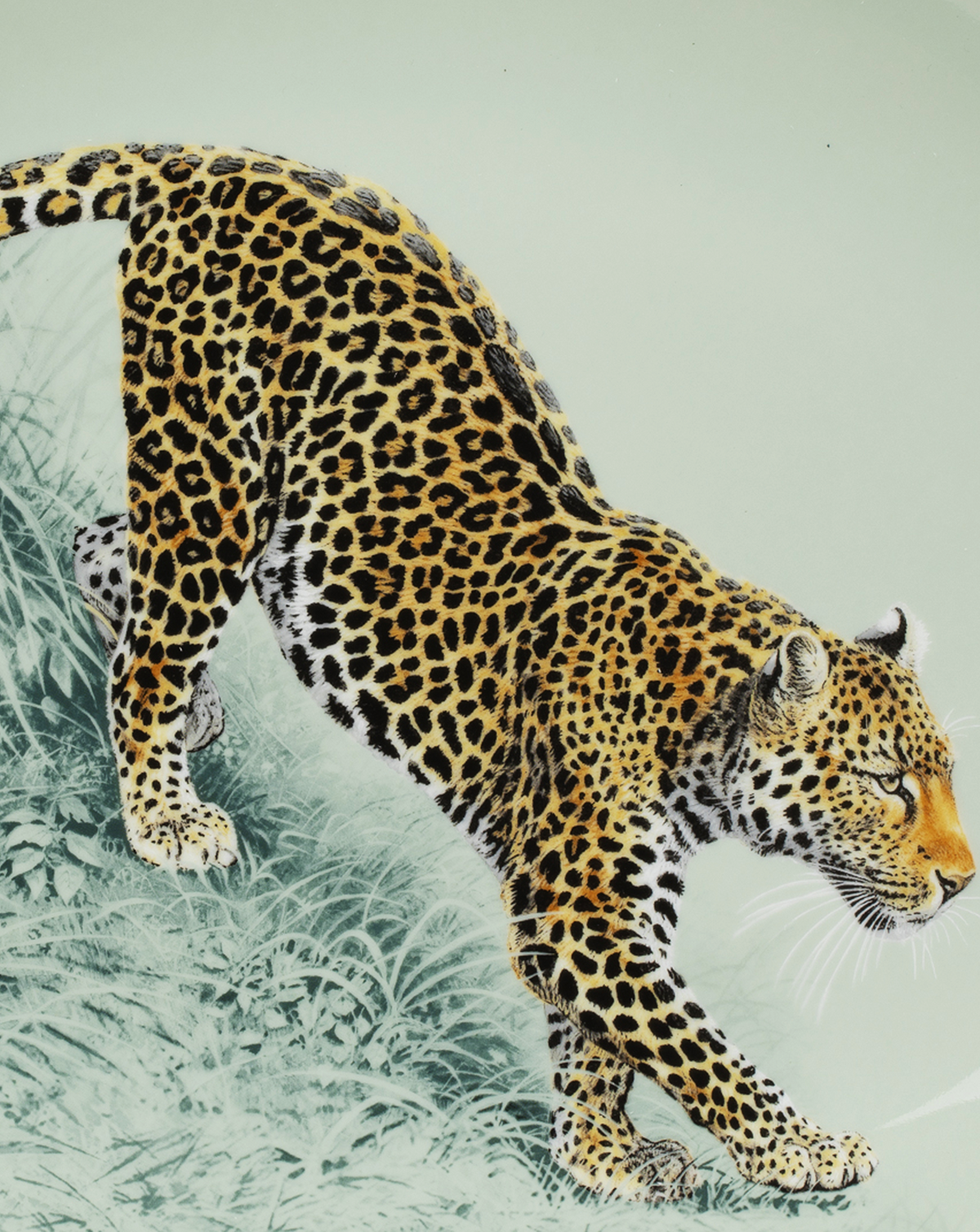 Detail of the leopard illustration on the Hermès Carnets d'Équateur small oval platter