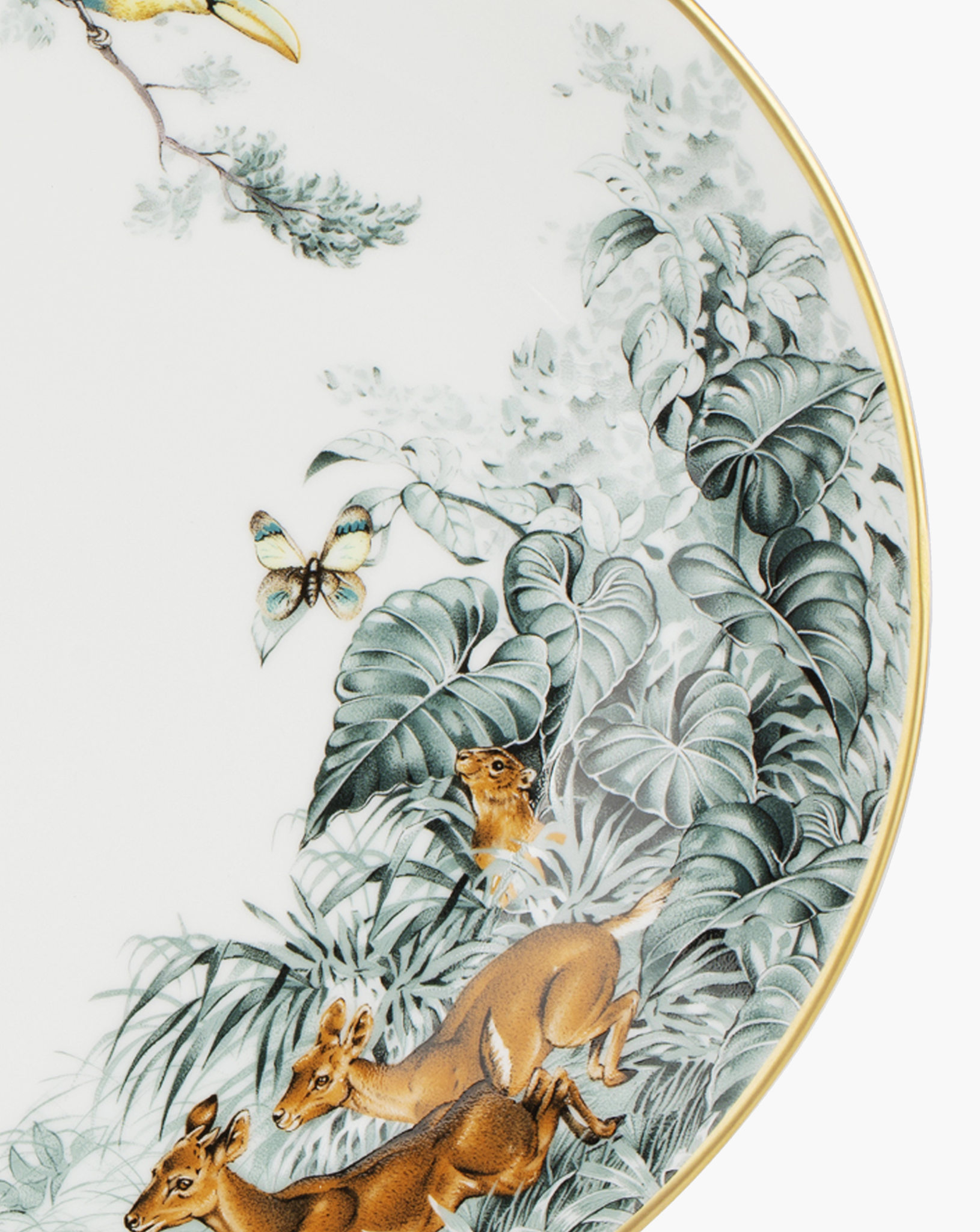 Detail of foliage, a butterfly and animals on the Hermès Carnets d'Équateur medium oval platter