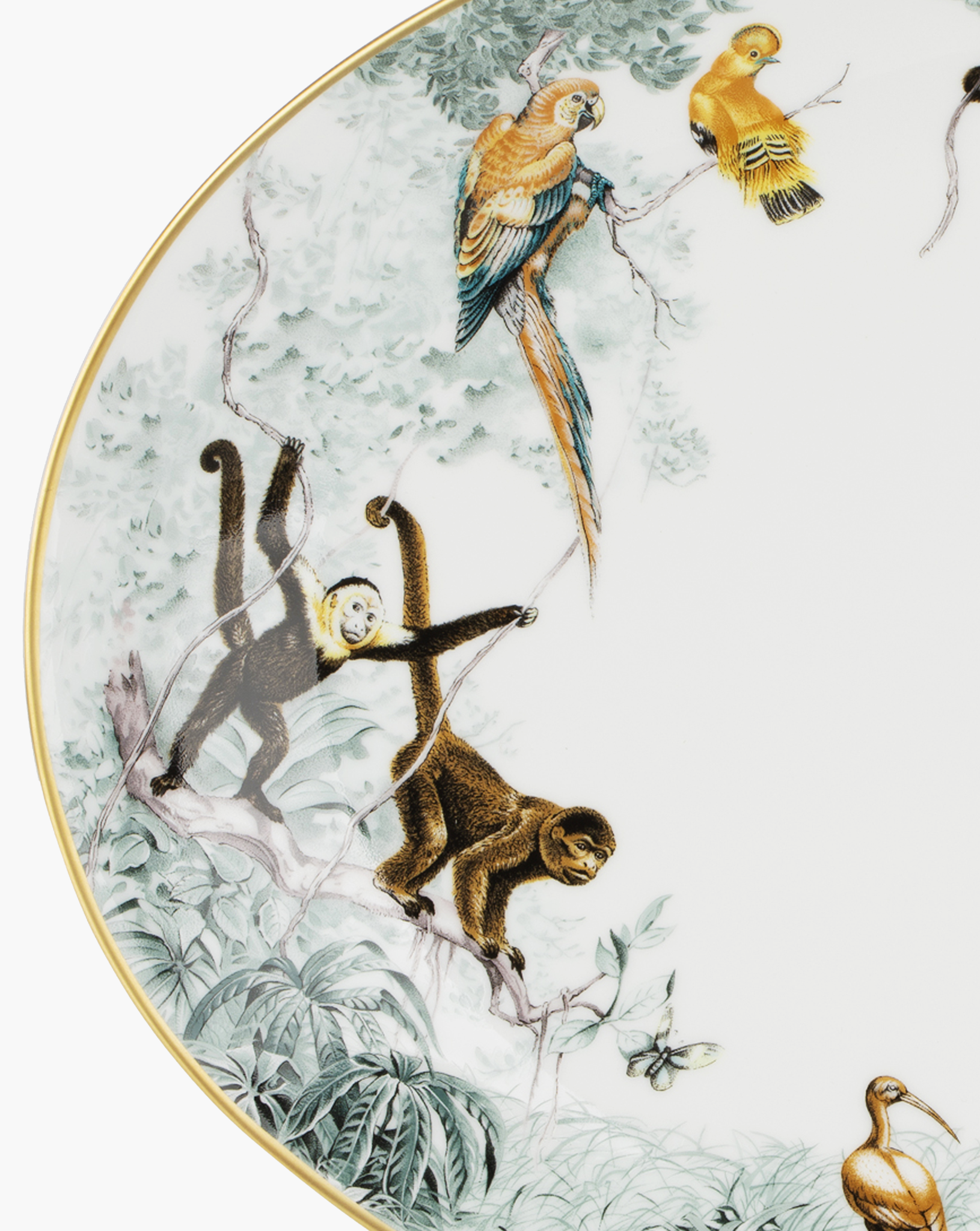 Detail of parrots, monkeys and birds on the Hermès Carnets d'Équateur medium oval platter