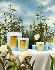 Trudon | Versailles Garden in Spring Candle Collection