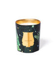 Trudon | Holiday Collection 2025 | Fir Collection