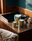 Trudon | Holiday Collection 2026 | Fir Collection