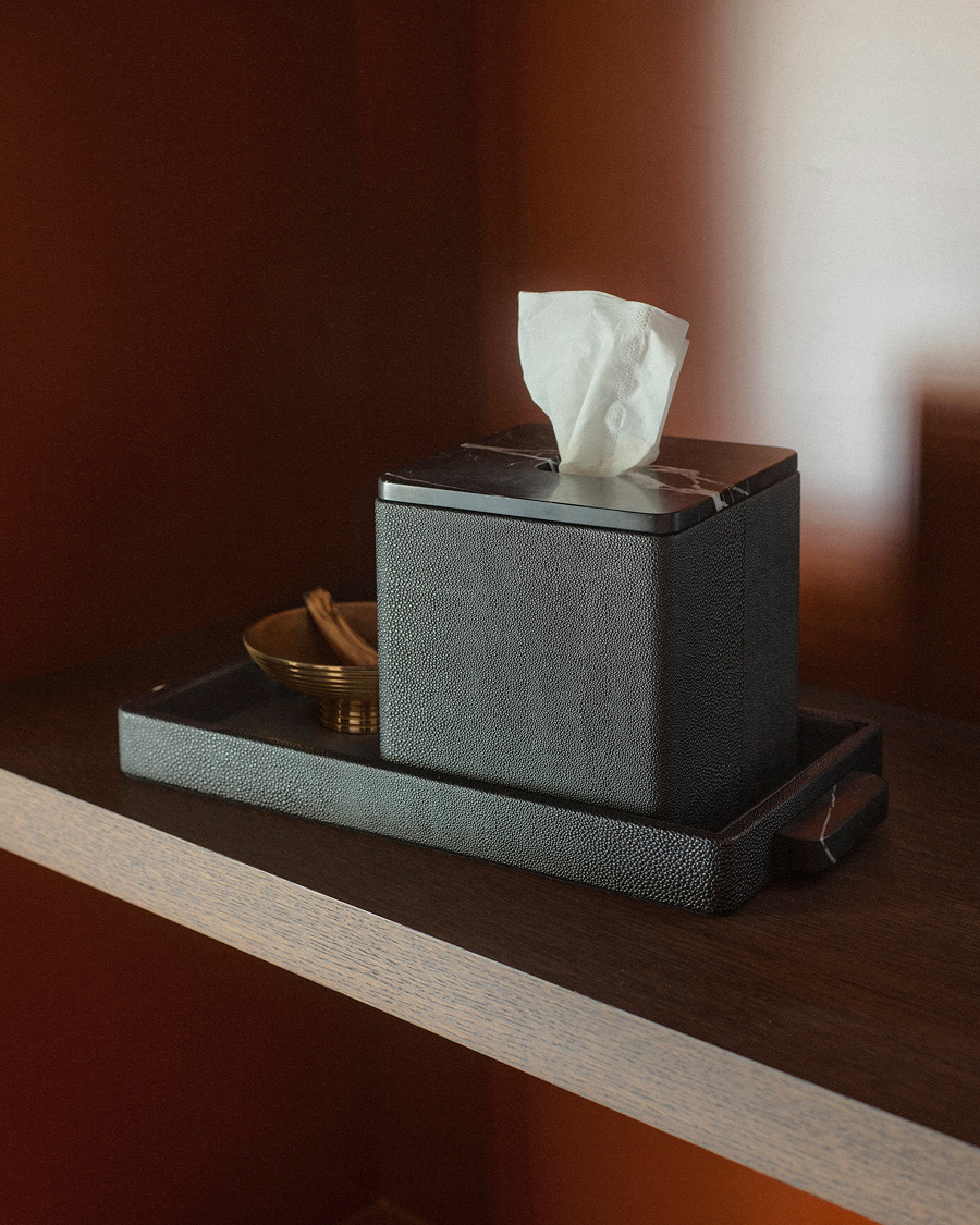 Greg Natale Palco Tissue Box and Palco Tray in Shagreen Nero on a reddish timber shelf