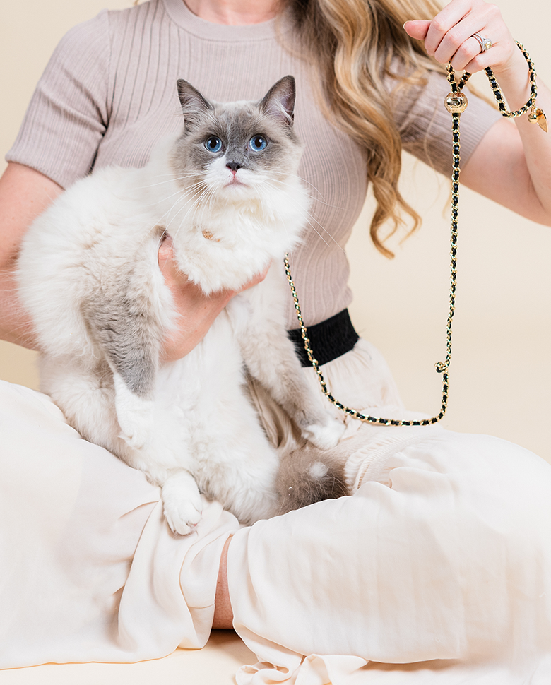 Mon Petit Amour Manolo Midnight Manhattan pet leash