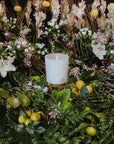 Trudon | Giambattista Valli Positano Candle