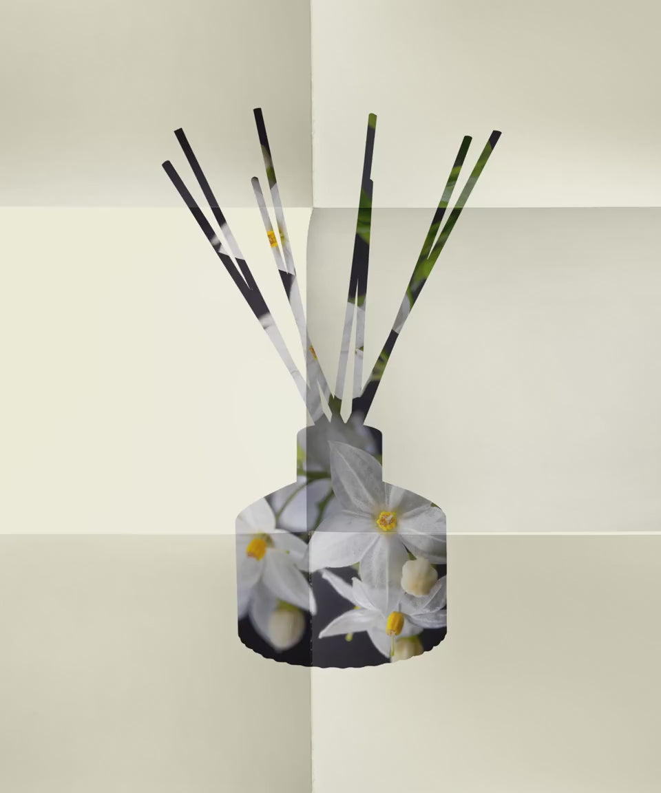 Trudon Madurai diffuser with shifting floral imagery