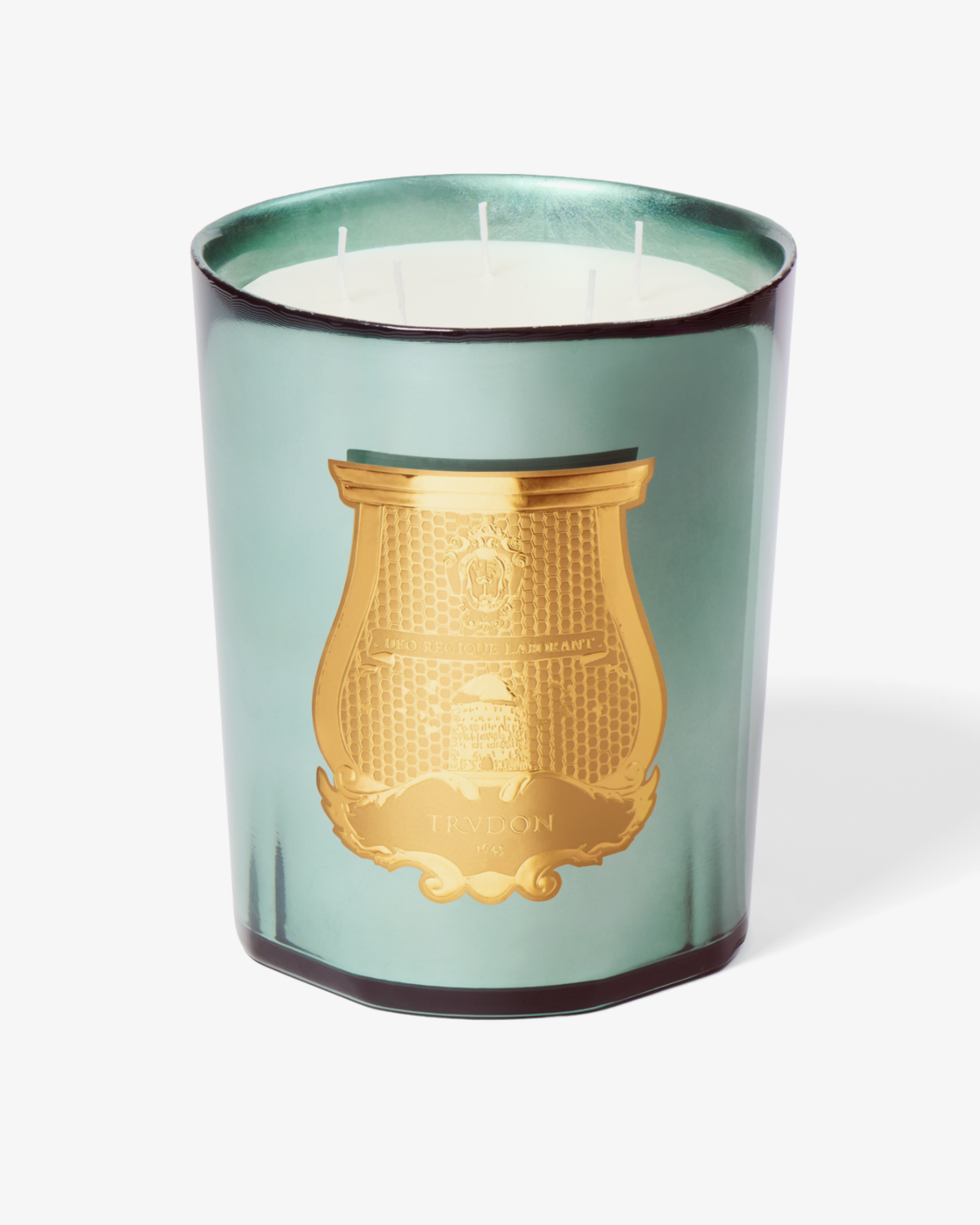 Trudon Holiday 2026 fir great