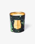 Trudon | Holiday Collection 2024 | Fir Collection