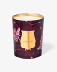 Trudon | Holiday Collection 2025 | Nazareth Collection