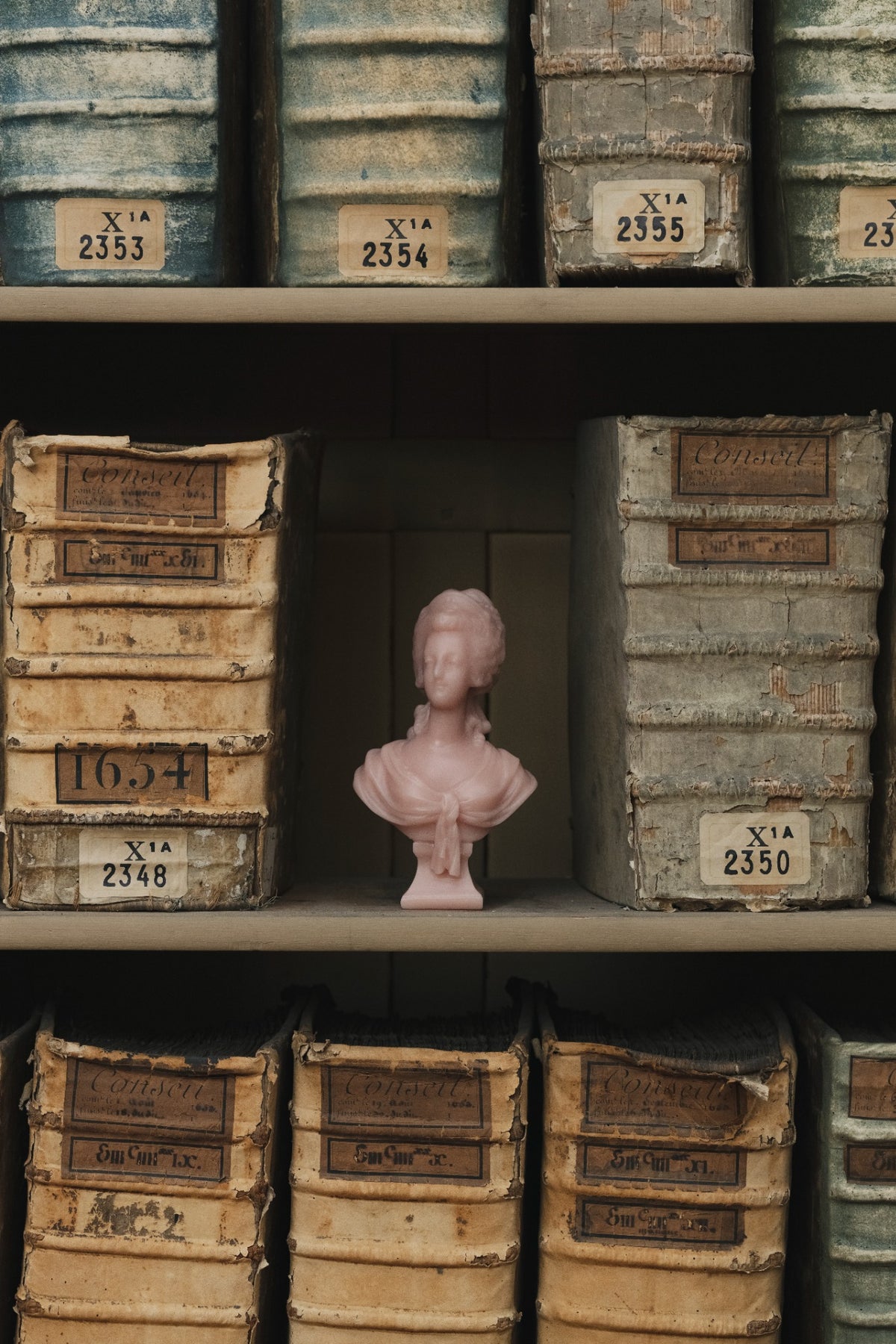 Trudon Marie Antoinette pink bust on archive shelves — Photo retouchée
